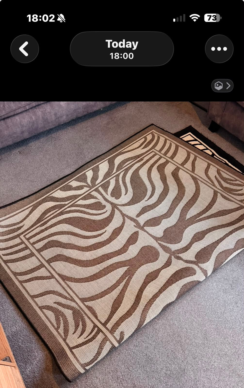 Zebra Rug 230cm by 160cm